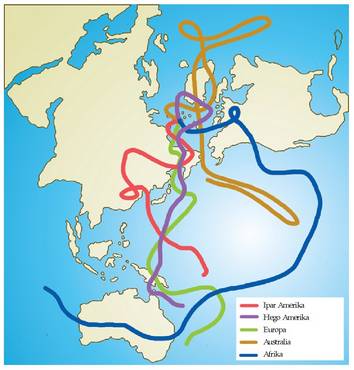 Kontinenteen jitoa. Kontinente bakoitzak geologia aldi bakoitzean Iparburua non zuen adierazten da. Era honetara garbi ageri da kontinenteek leku aldatze linealak izateaz gainera, beren gain jiratu egin dutela. Horregatik, Iparburuaren itxurazko mugimenduak kontinenteen mugimenduen isla baizik ez dira.<br><br>